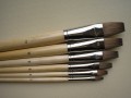 Brush Set ECS11283